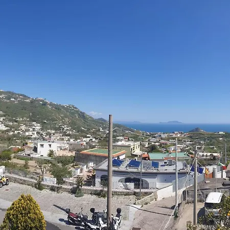 Lejlighedshotel Mareluna Ischia Forio di Ischia